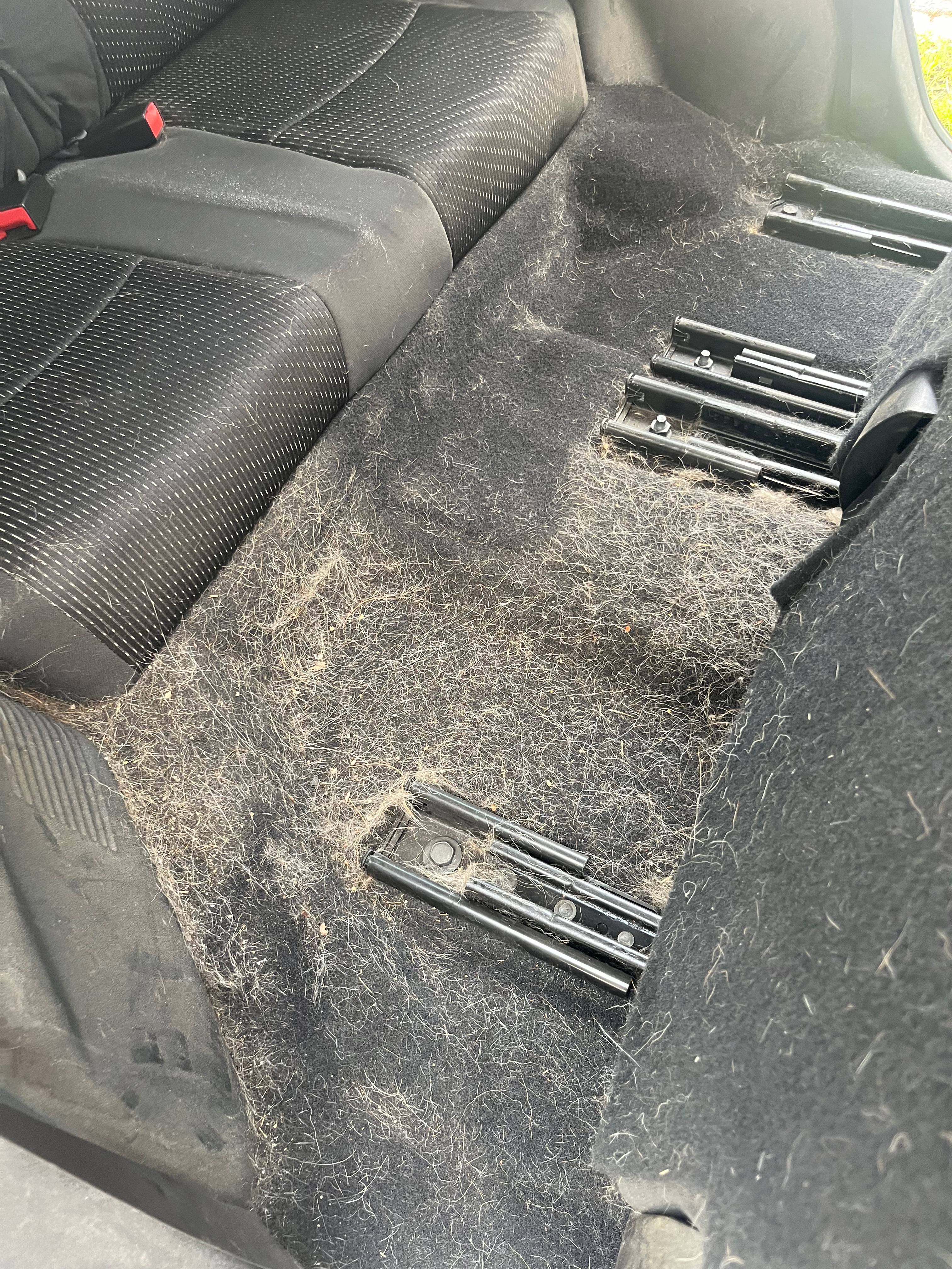 Interior after detailing